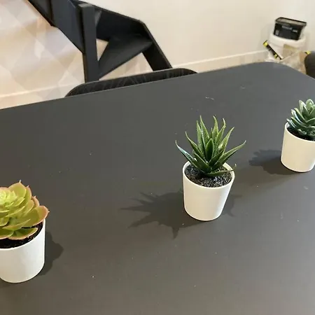 Chaleureux Dans Centre